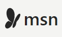 msn logo